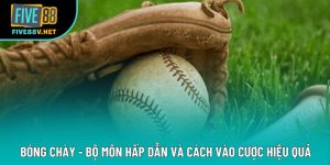 Bóng Chày - Bộ Môn Hấp Dẫn Và Cách Vào Cược Hiệu Quả