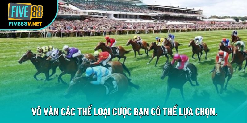 Vô vàn các thể loại cược bạn có thể lựa chọn. Vô vàn các thể loại cược bạn có thể lựa chọn.