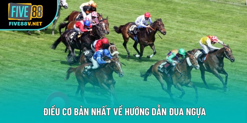 Điều cơ bản nhất về hướng dẫn đua ngựa Điều cơ bản nhất về hướng dẫn đua ngựa