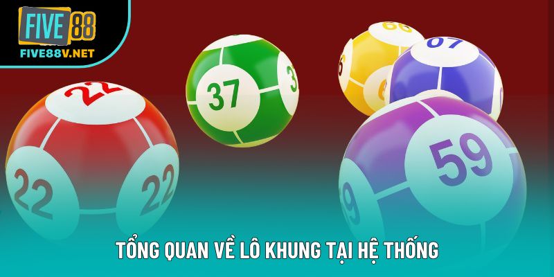 Tổng quan về lô khung tại hệ thống